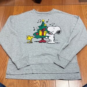 Peanuts Gray Sweatshirt with Snoopy and Woodstock